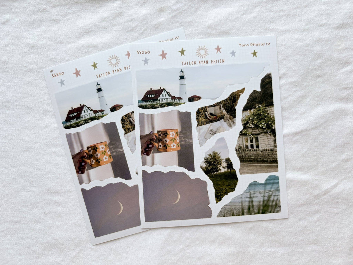Torn Photos IV Sticker Sheet | Taylor Ryan Designs
