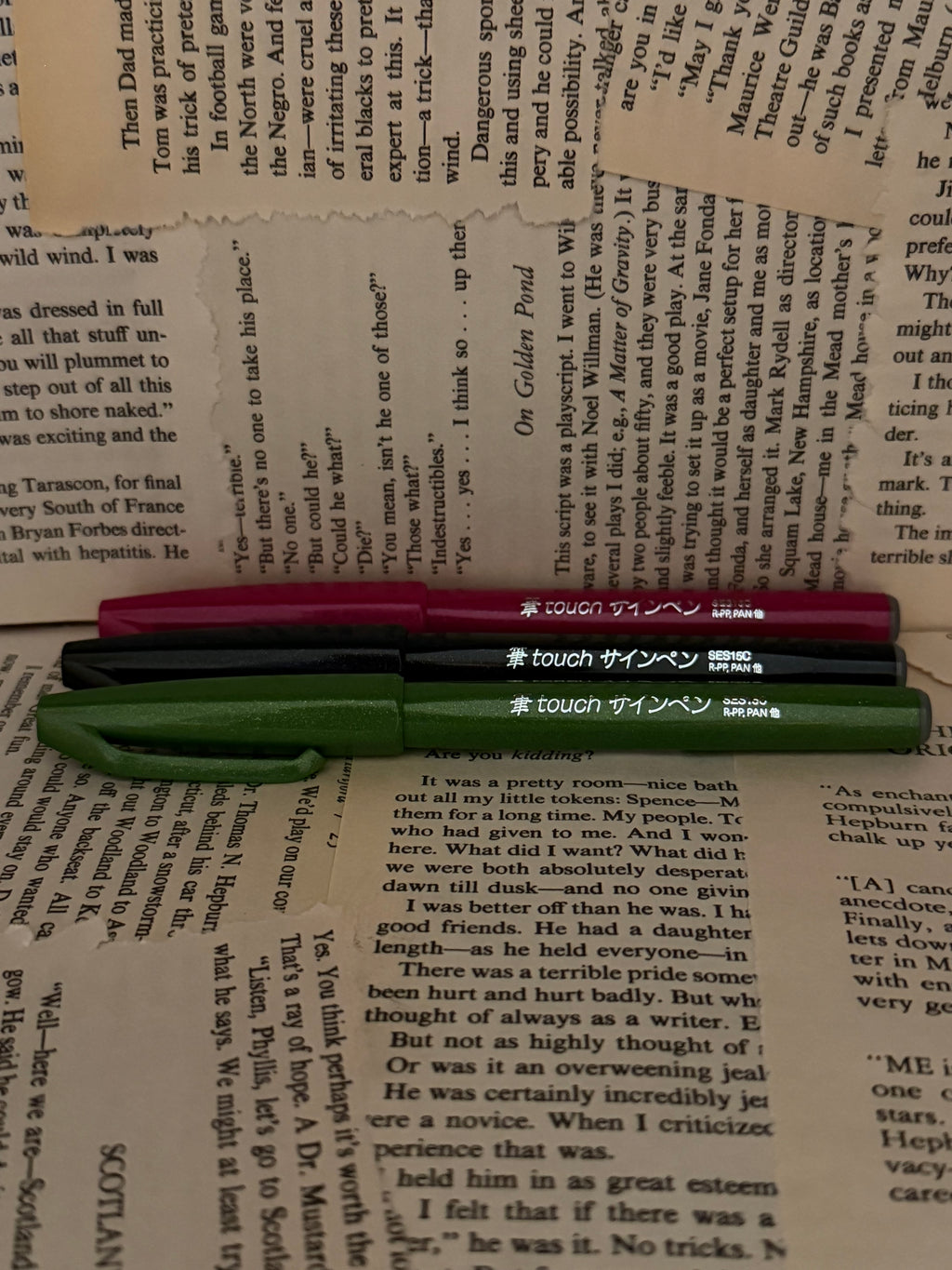 Pentel Brush Touch Sign Pen