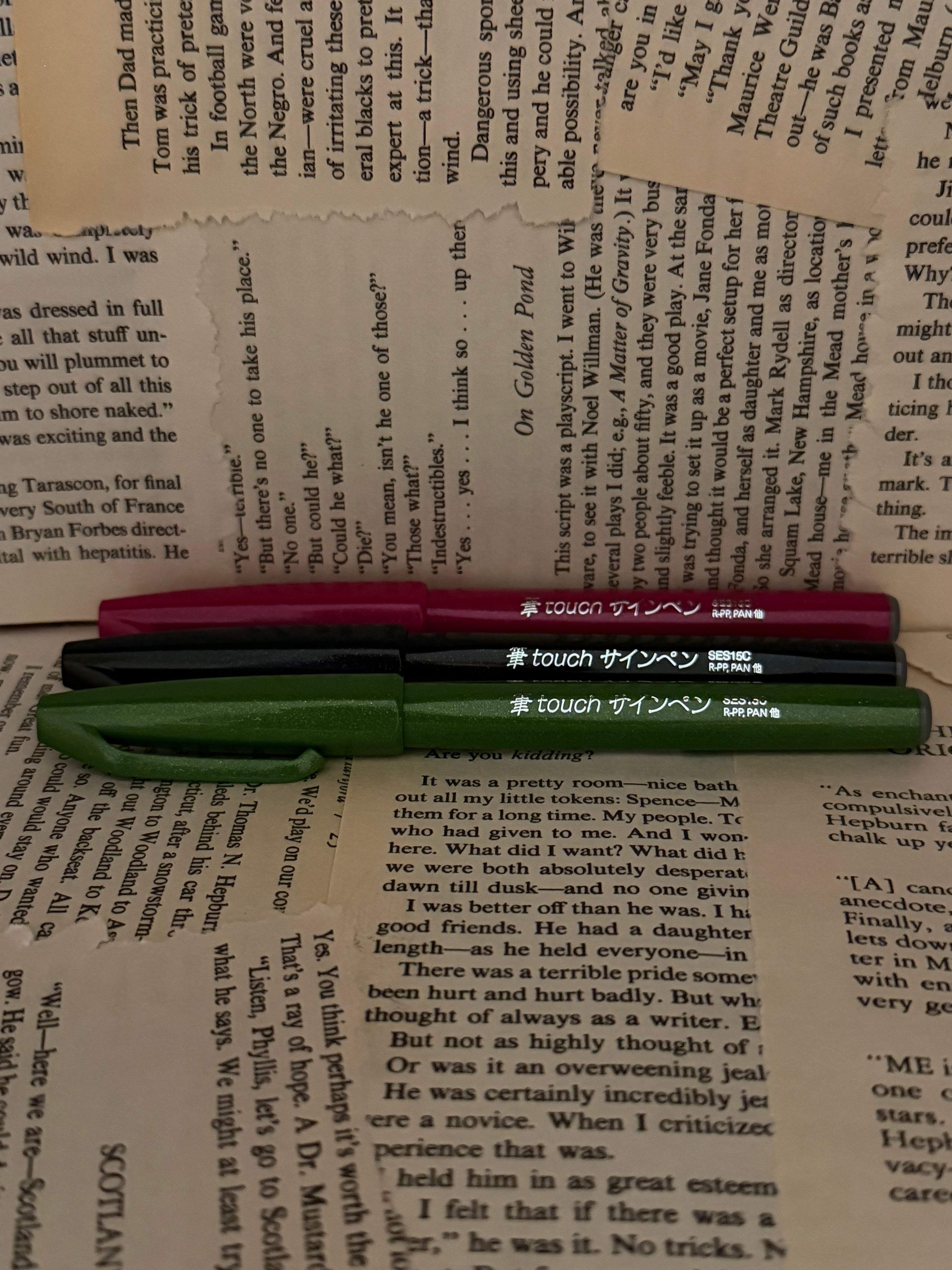 Pentel Brush Touch Sign Pen