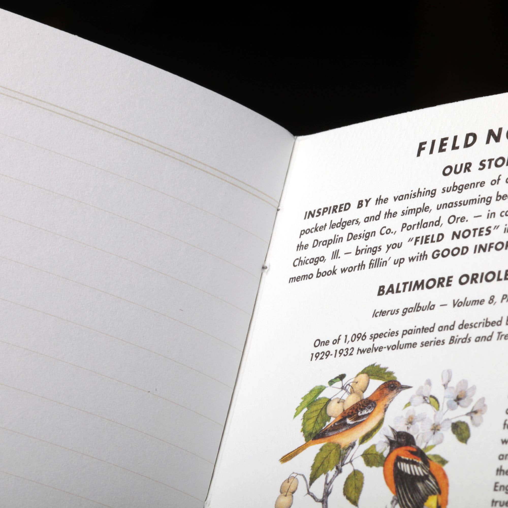 Field Notes Birds and Trees of North America Ruled Notebooks
