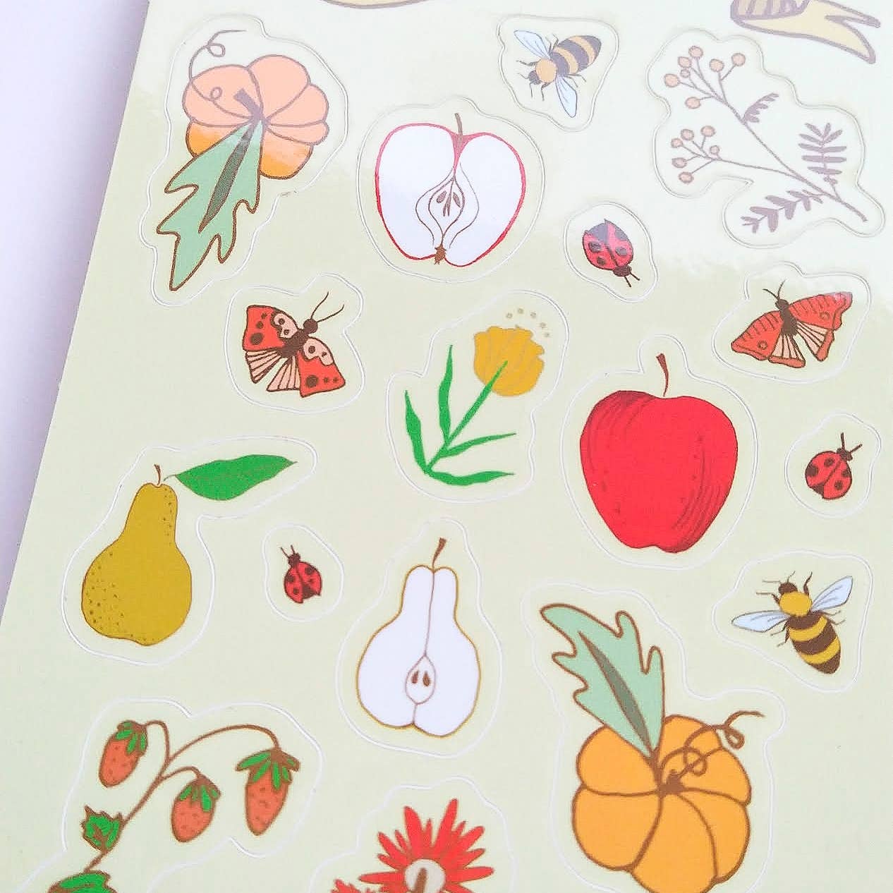 Fruits & Flowers Sticker Sheet