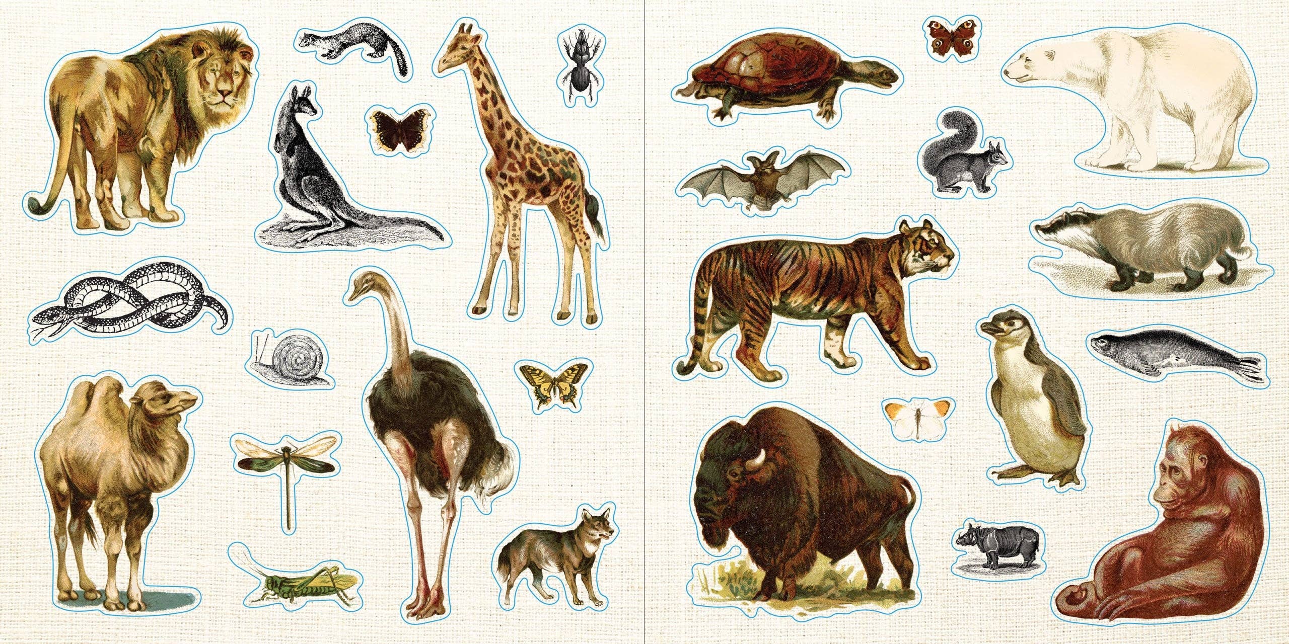 Loads of Ephemera! Sticker Book