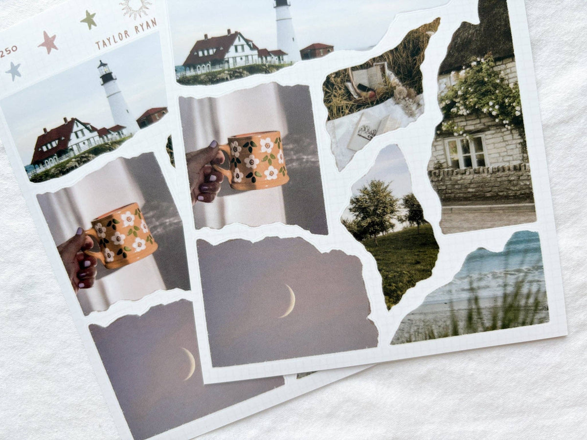 Torn Photos IV Sticker Sheet | Taylor Ryan Designs
