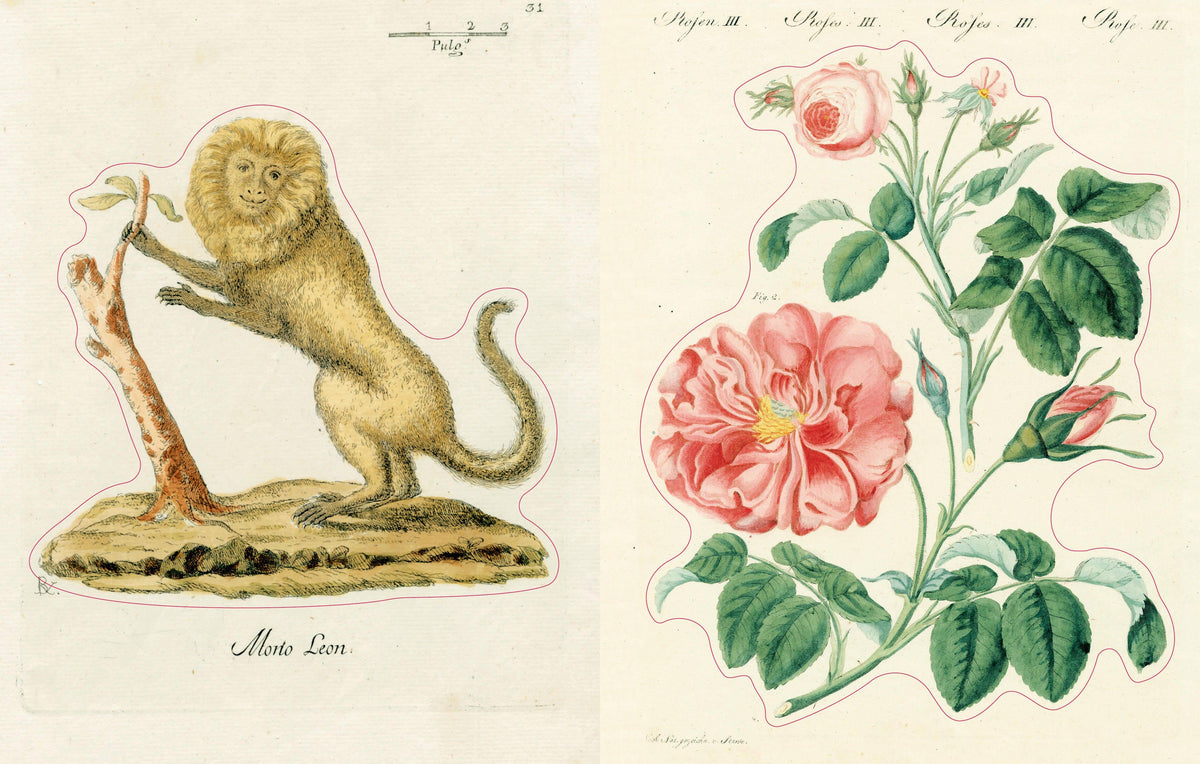 John Derian Sticker Book II