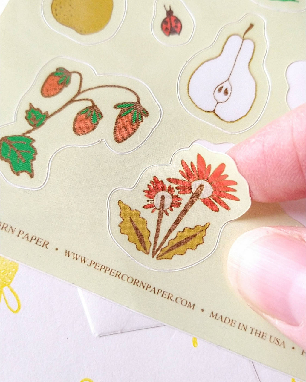 Fruits & Flowers Sticker Sheet