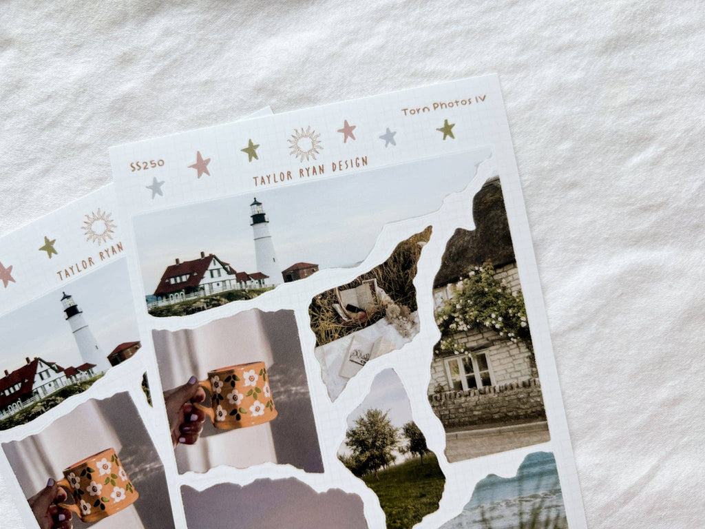 Torn Photos IV Sticker Sheet | Taylor Ryan Designs