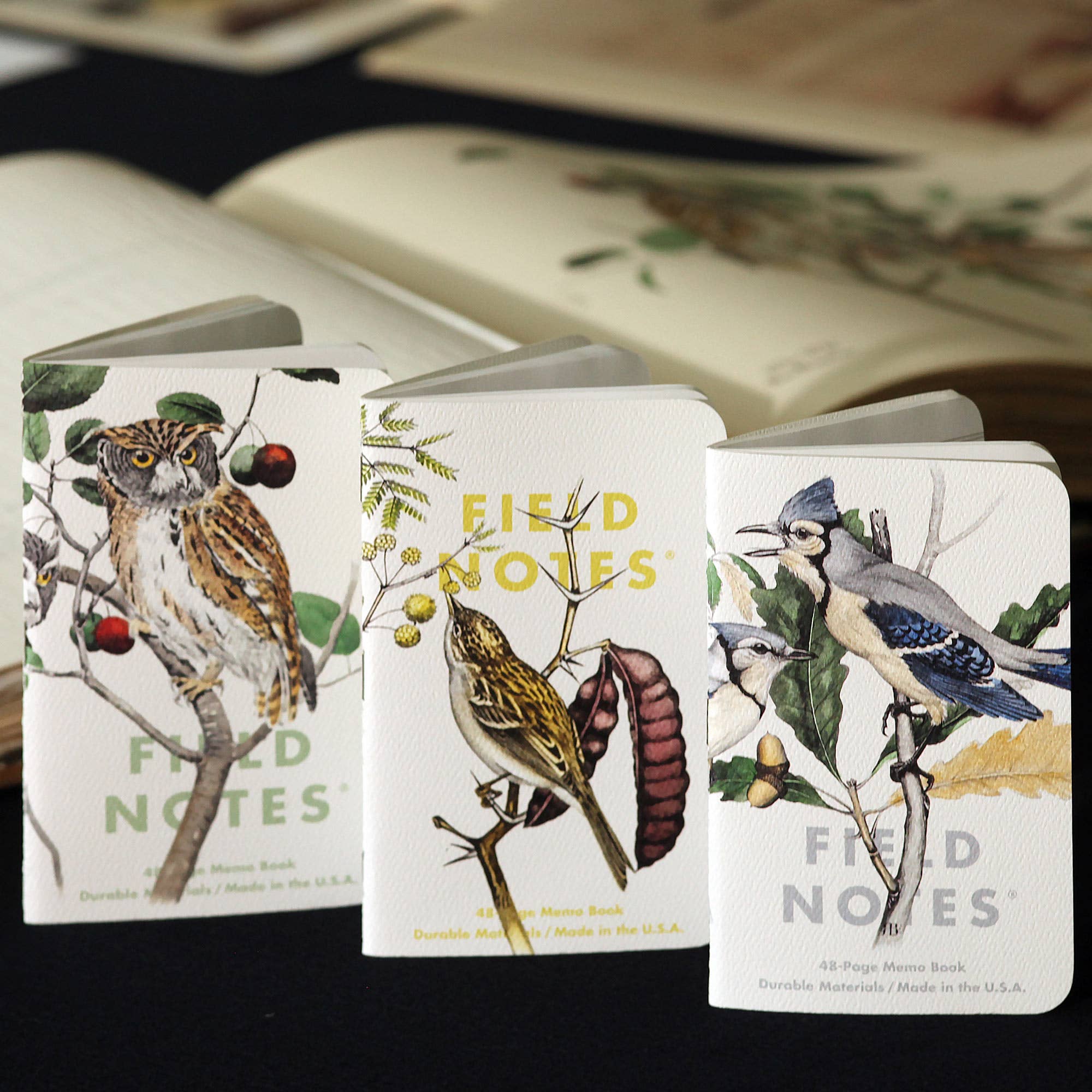 Field Notes Birds and Trees of North America Ruled Notebooks