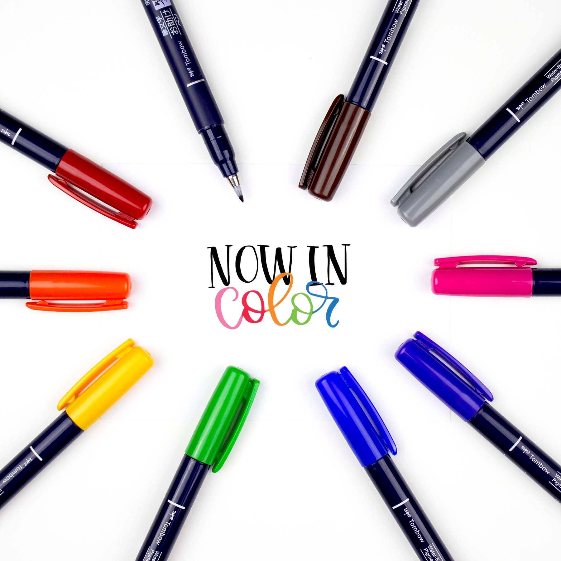 Tombow Fudenosuke Calligraphy Brush Pens (10-Pack)