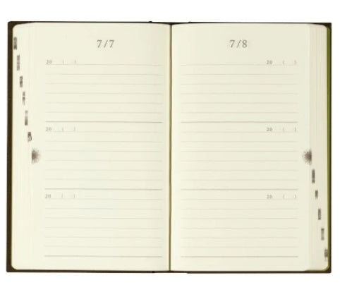 Midori 3 Years Diary: Brown